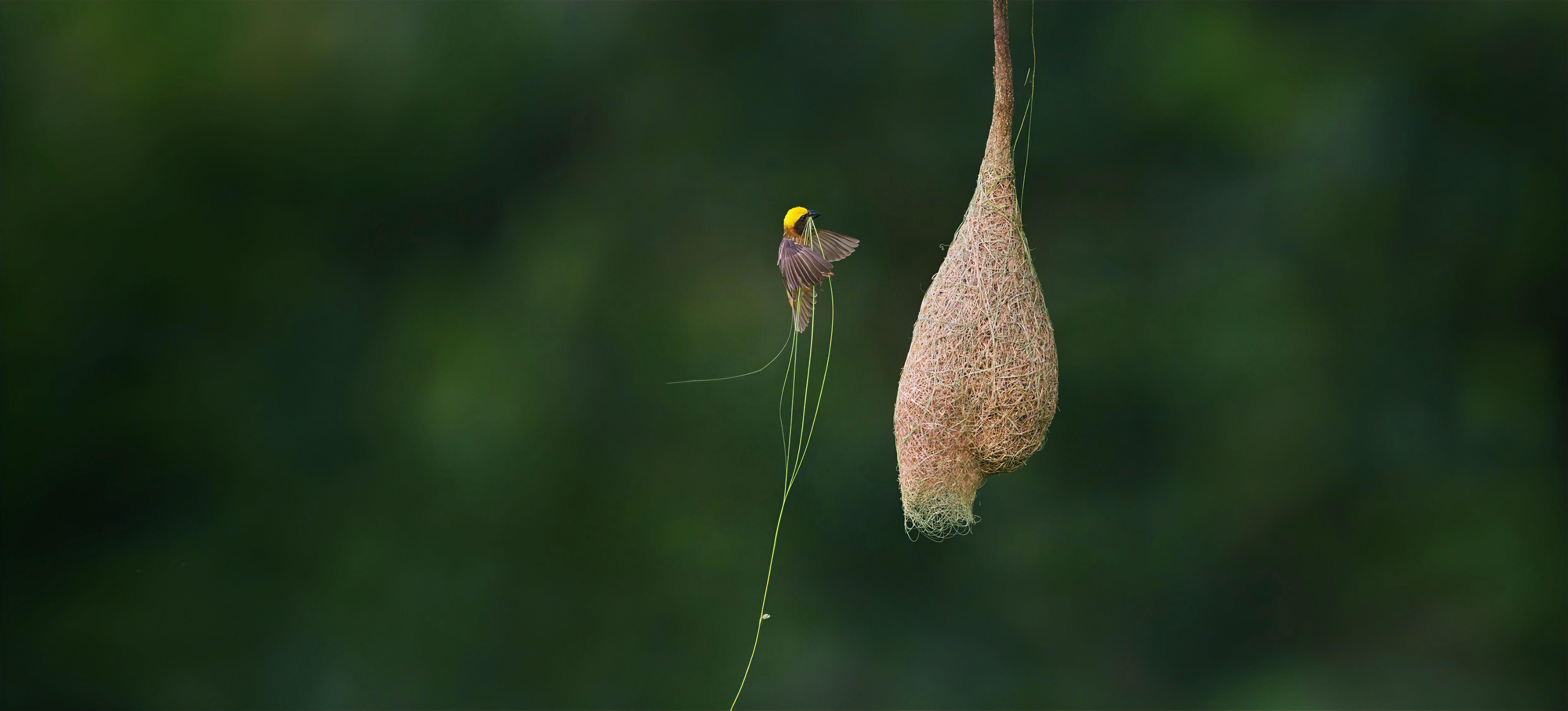 Compromisso com o Futuro.
